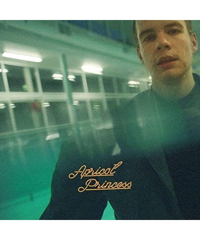 Rex Orange County APRICOT PRINCESS Vinyl Record $3.70 Vinyl